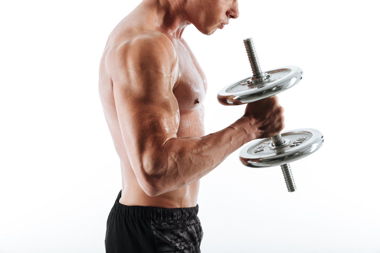 mięsień dwugłowy ramienia biceps